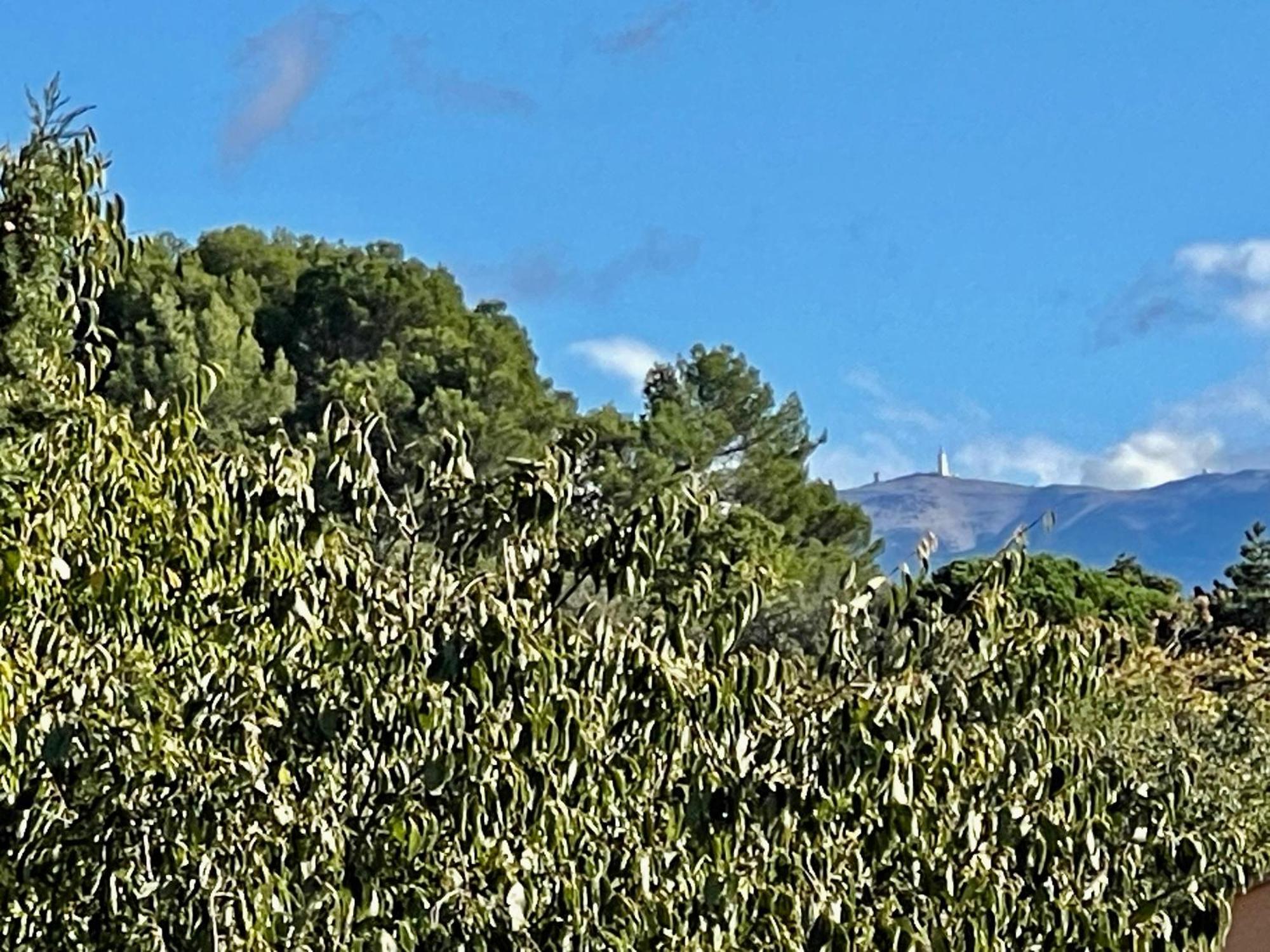 Le Mas De Mirabel Dış mekan fotoğraf